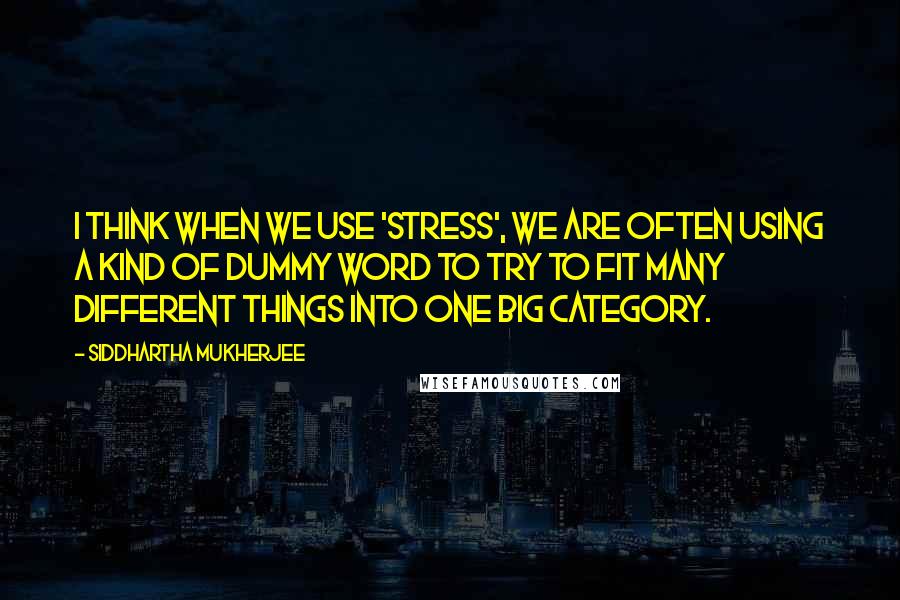 Siddhartha Mukherjee Quotes: I think when we use 'stress', we are often using a kind of dummy word to try to fit many different things into one big category.