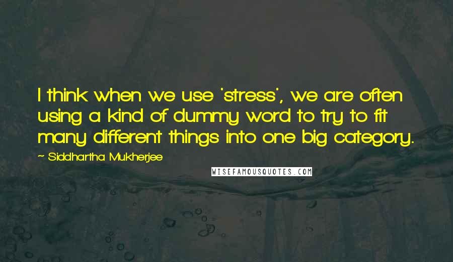 Siddhartha Mukherjee Quotes: I think when we use 'stress', we are often using a kind of dummy word to try to fit many different things into one big category.