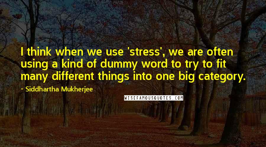 Siddhartha Mukherjee Quotes: I think when we use 'stress', we are often using a kind of dummy word to try to fit many different things into one big category.