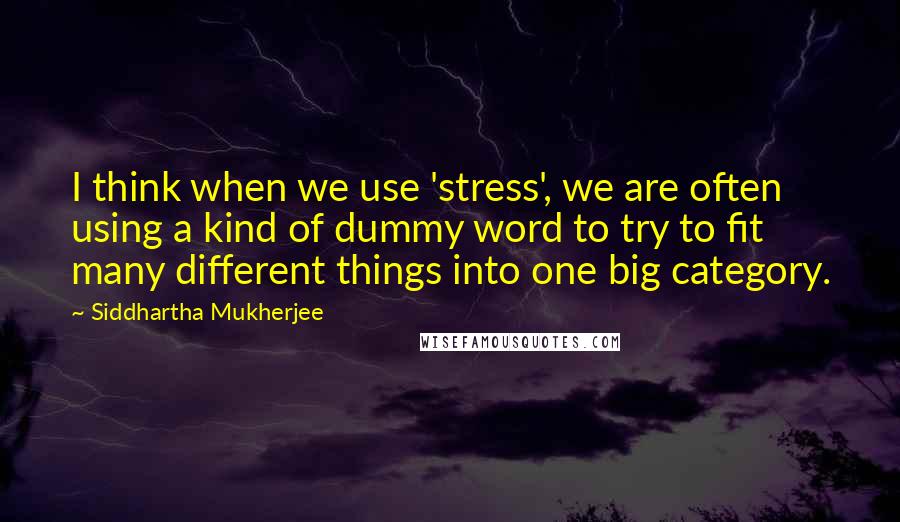 Siddhartha Mukherjee Quotes: I think when we use 'stress', we are often using a kind of dummy word to try to fit many different things into one big category.