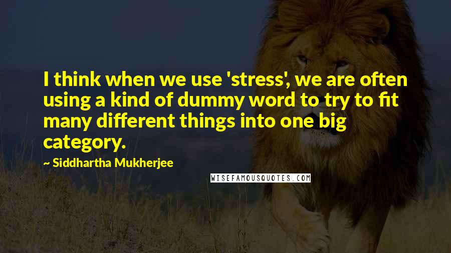 Siddhartha Mukherjee Quotes: I think when we use 'stress', we are often using a kind of dummy word to try to fit many different things into one big category.