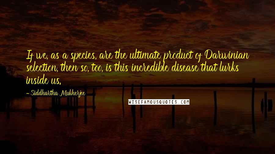 Siddhartha Mukherjee Quotes: If we, as a species, are the ultimate product of Darwinian selection, then so, too, is this incredible disease that lurks inside us.