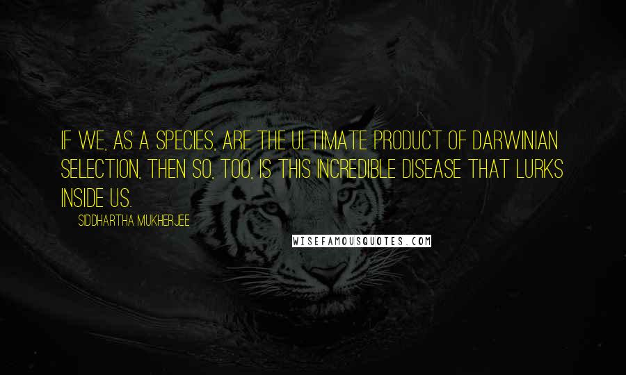 Siddhartha Mukherjee Quotes: If we, as a species, are the ultimate product of Darwinian selection, then so, too, is this incredible disease that lurks inside us.