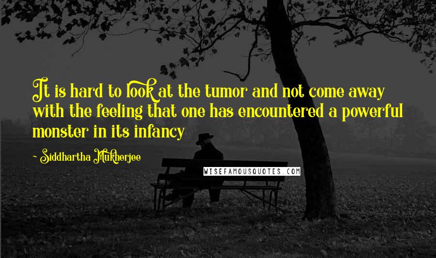 Siddhartha Mukherjee Quotes: It is hard to look at the tumor and not come away with the feeling that one has encountered a powerful monster in its infancy
