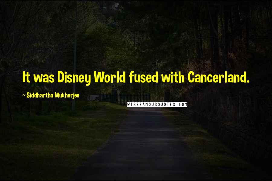 Siddhartha Mukherjee Quotes: It was Disney World fused with Cancerland.