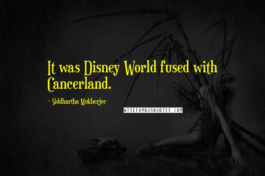 Siddhartha Mukherjee Quotes: It was Disney World fused with Cancerland.