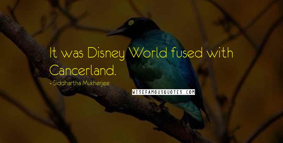 Siddhartha Mukherjee Quotes: It was Disney World fused with Cancerland.