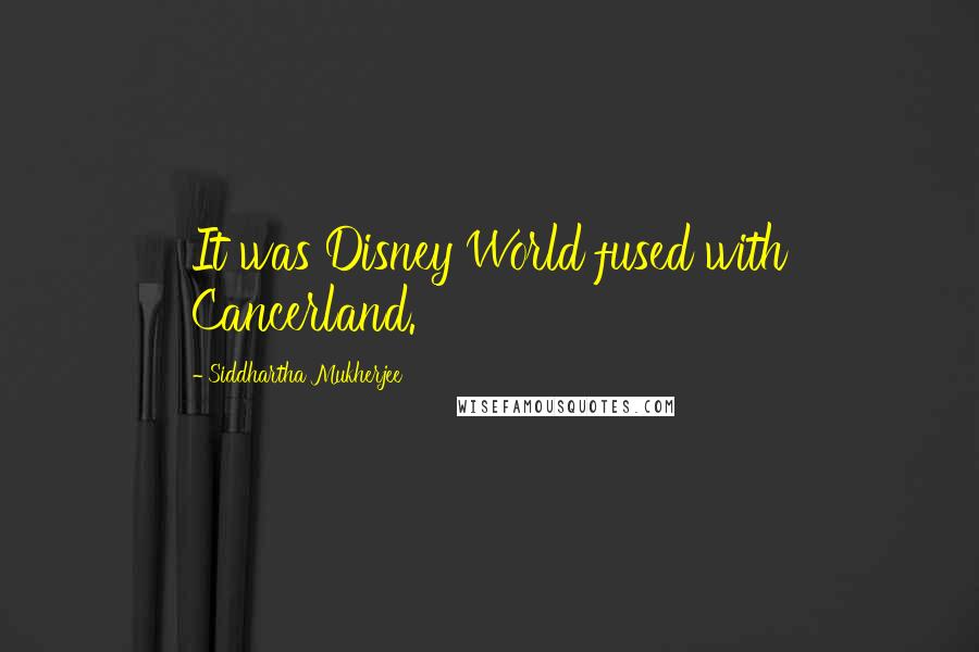 Siddhartha Mukherjee Quotes: It was Disney World fused with Cancerland.