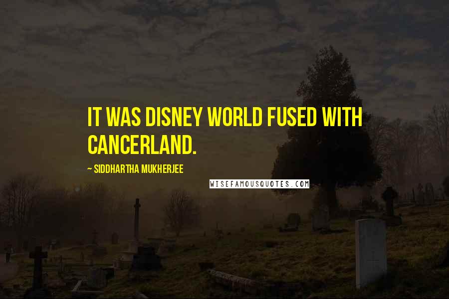 Siddhartha Mukherjee Quotes: It was Disney World fused with Cancerland.