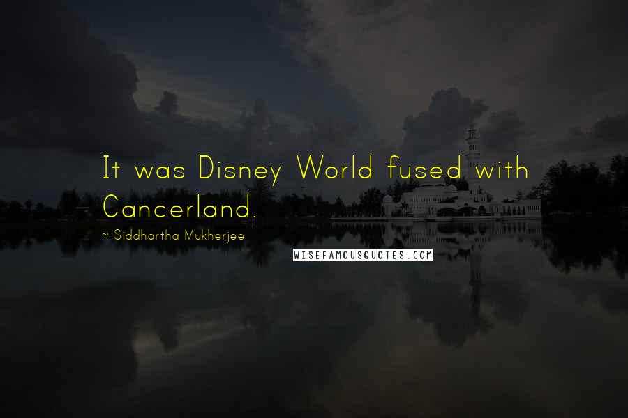 Siddhartha Mukherjee Quotes: It was Disney World fused with Cancerland.