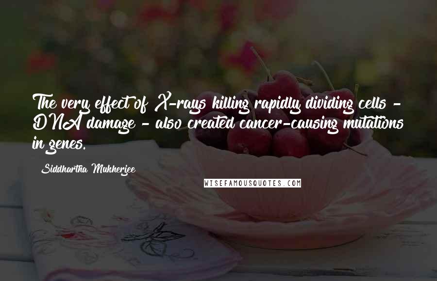 Siddhartha Mukherjee Quotes: The very effect of X-rays killing rapidly dividing cells - DNA damage - also created cancer-causing mutations in genes.
