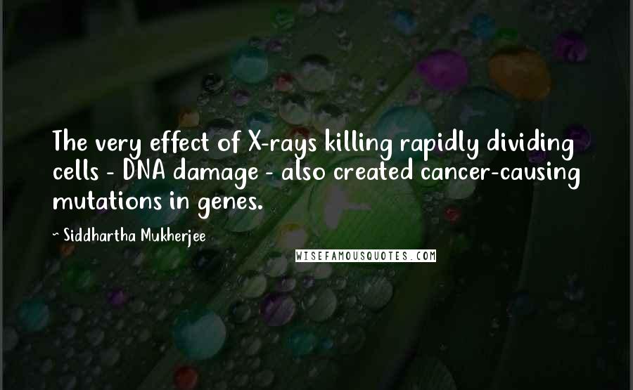 Siddhartha Mukherjee Quotes: The very effect of X-rays killing rapidly dividing cells - DNA damage - also created cancer-causing mutations in genes.