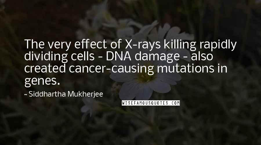 Siddhartha Mukherjee Quotes: The very effect of X-rays killing rapidly dividing cells - DNA damage - also created cancer-causing mutations in genes.
