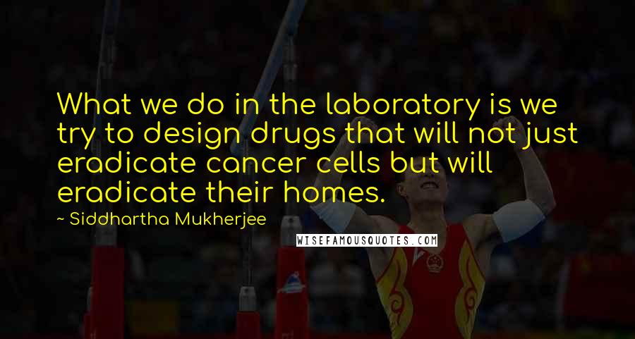 Siddhartha Mukherjee Quotes: What we do in the laboratory is we try to design drugs that will not just eradicate cancer cells but will eradicate their homes.