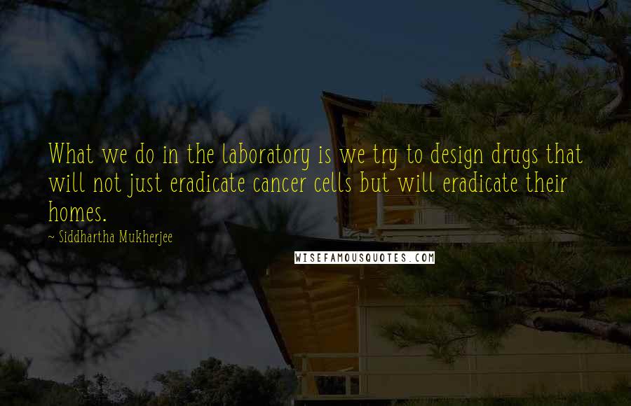 Siddhartha Mukherjee Quotes: What we do in the laboratory is we try to design drugs that will not just eradicate cancer cells but will eradicate their homes.