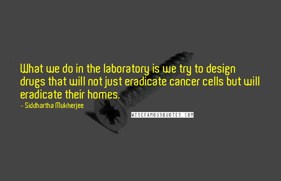 Siddhartha Mukherjee Quotes: What we do in the laboratory is we try to design drugs that will not just eradicate cancer cells but will eradicate their homes.