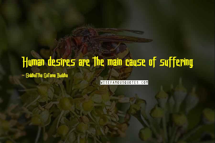 Siddhattha Gotama Buddha Quotes: Human desires are the main cause of suffering