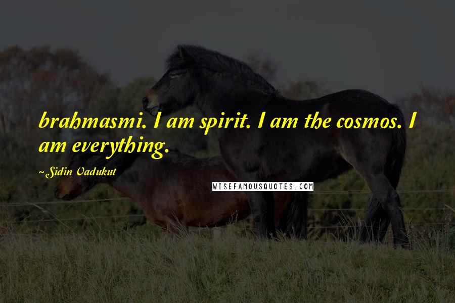 Sidin Vadukut Quotes: brahmasmi. I am spirit. I am the cosmos. I am everything.