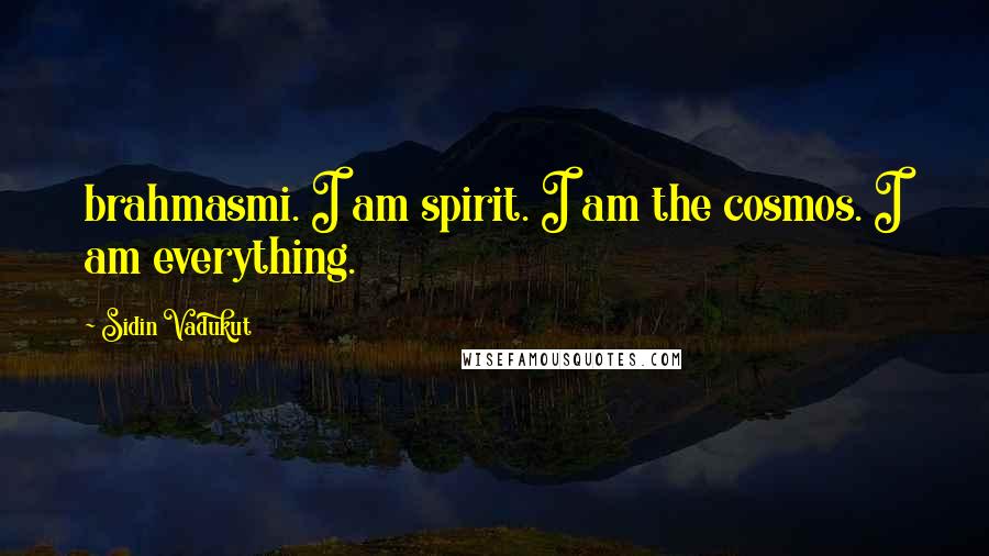 Sidin Vadukut Quotes: brahmasmi. I am spirit. I am the cosmos. I am everything.