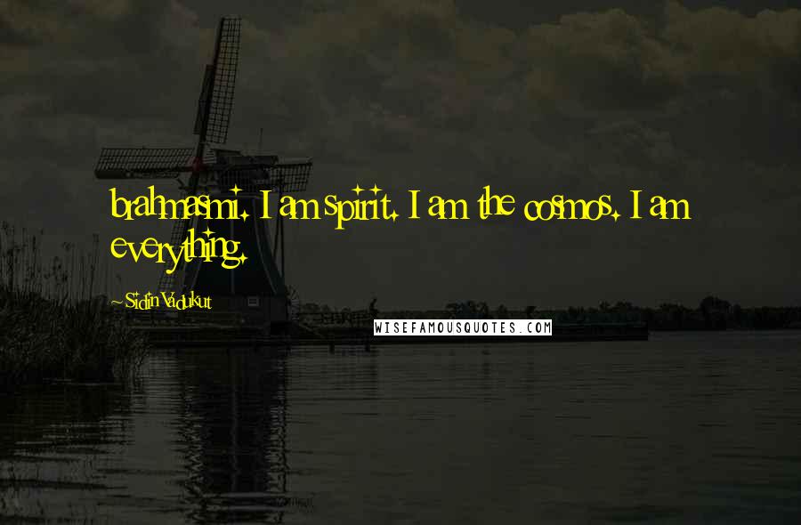 Sidin Vadukut Quotes: brahmasmi. I am spirit. I am the cosmos. I am everything.