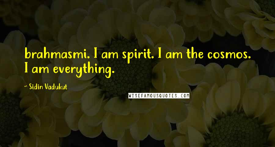 Sidin Vadukut Quotes: brahmasmi. I am spirit. I am the cosmos. I am everything.