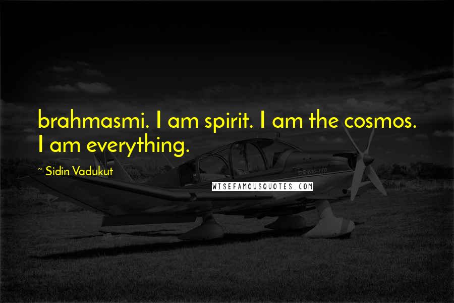 Sidin Vadukut Quotes: brahmasmi. I am spirit. I am the cosmos. I am everything.