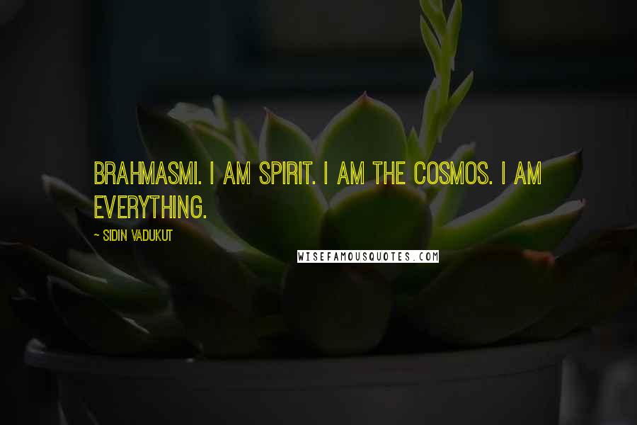 Sidin Vadukut Quotes: brahmasmi. I am spirit. I am the cosmos. I am everything.