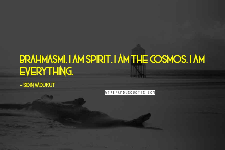 Sidin Vadukut Quotes: brahmasmi. I am spirit. I am the cosmos. I am everything.