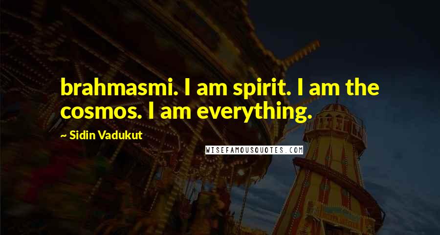 Sidin Vadukut Quotes: brahmasmi. I am spirit. I am the cosmos. I am everything.