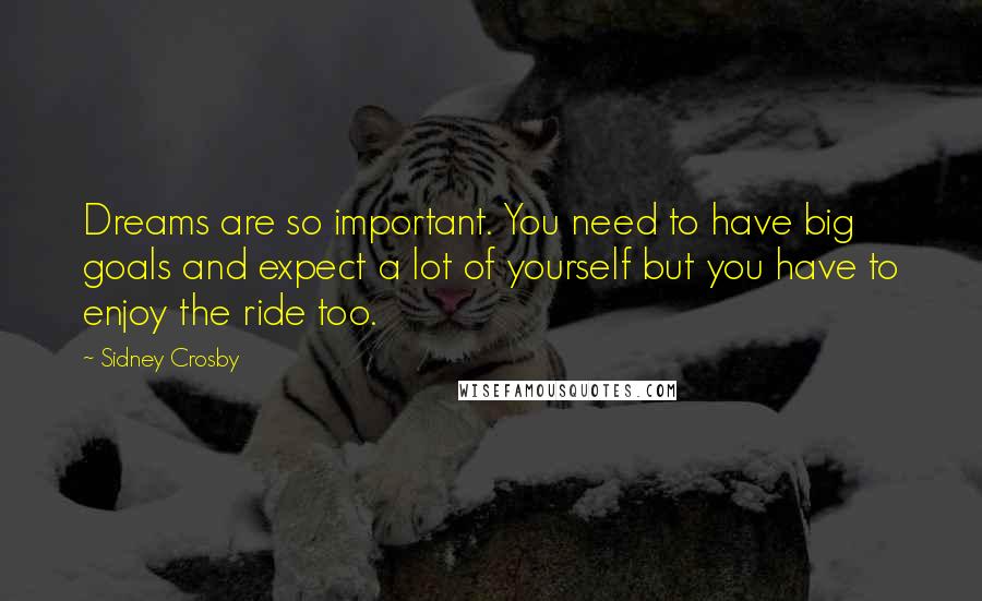 Sidney Crosby Quotes: Dreams are so important. You need to have big goals and expect a lot of yourself but you have to enjoy the ride too.