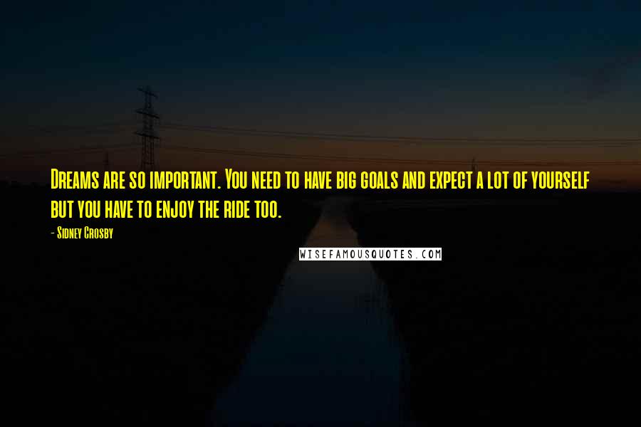 Sidney Crosby Quotes: Dreams are so important. You need to have big goals and expect a lot of yourself but you have to enjoy the ride too.