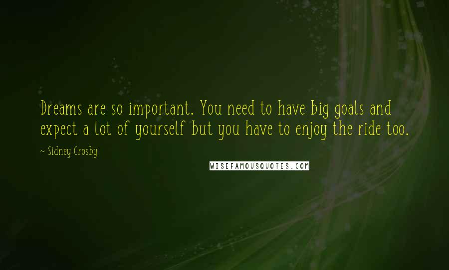 Sidney Crosby Quotes: Dreams are so important. You need to have big goals and expect a lot of yourself but you have to enjoy the ride too.