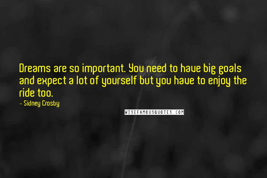 Sidney Crosby Quotes: Dreams are so important. You need to have big goals and expect a lot of yourself but you have to enjoy the ride too.