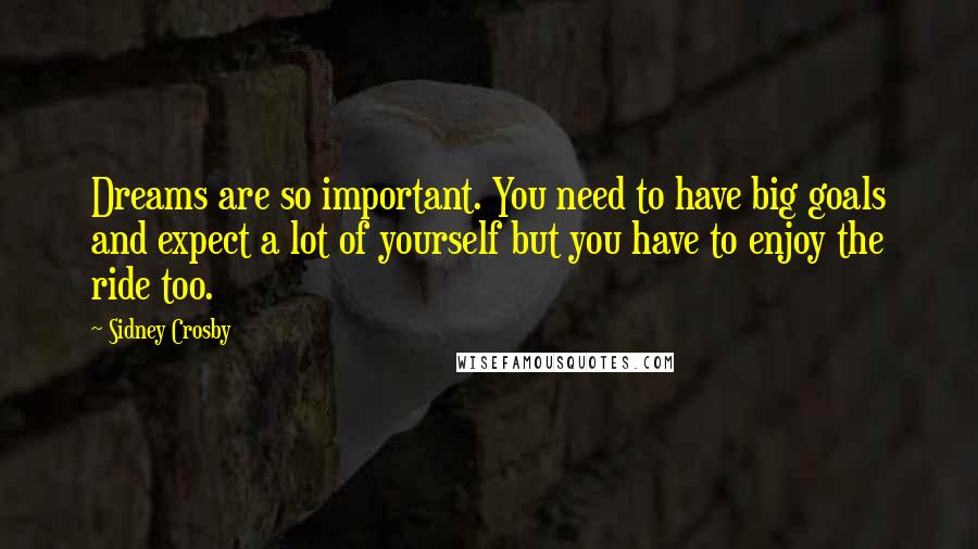 Sidney Crosby Quotes: Dreams are so important. You need to have big goals and expect a lot of yourself but you have to enjoy the ride too.