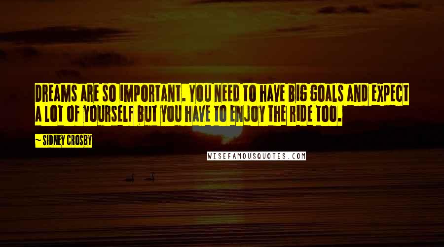 Sidney Crosby Quotes: Dreams are so important. You need to have big goals and expect a lot of yourself but you have to enjoy the ride too.