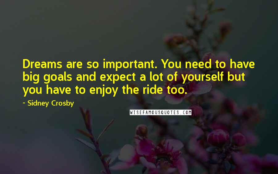 Sidney Crosby Quotes: Dreams are so important. You need to have big goals and expect a lot of yourself but you have to enjoy the ride too.