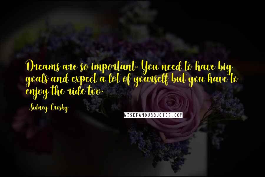 Sidney Crosby Quotes: Dreams are so important. You need to have big goals and expect a lot of yourself but you have to enjoy the ride too.