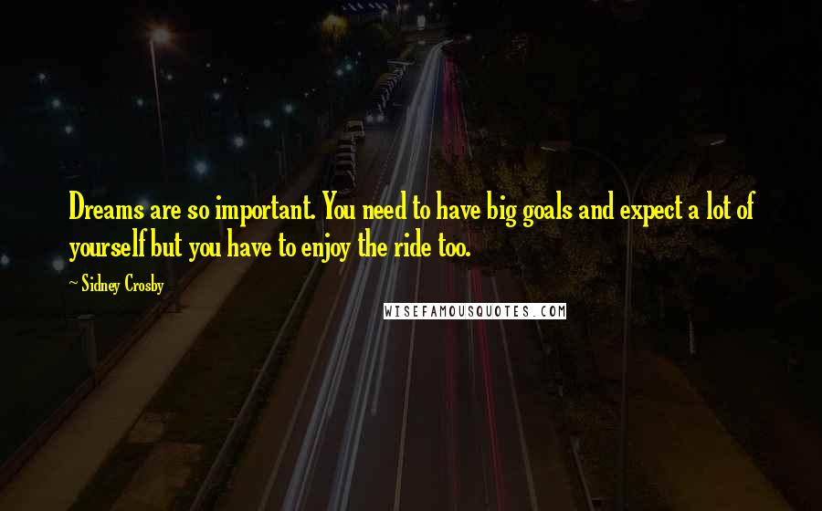 Sidney Crosby Quotes: Dreams are so important. You need to have big goals and expect a lot of yourself but you have to enjoy the ride too.