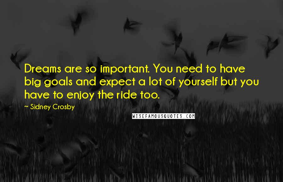 Sidney Crosby Quotes: Dreams are so important. You need to have big goals and expect a lot of yourself but you have to enjoy the ride too.