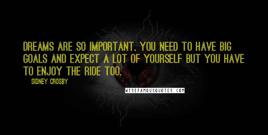 Sidney Crosby Quotes: Dreams are so important. You need to have big goals and expect a lot of yourself but you have to enjoy the ride too.