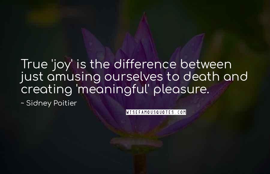 Sidney Poitier Quotes: True 'joy' is the difference between just amusing ourselves to death and creating 'meaningful' pleasure.