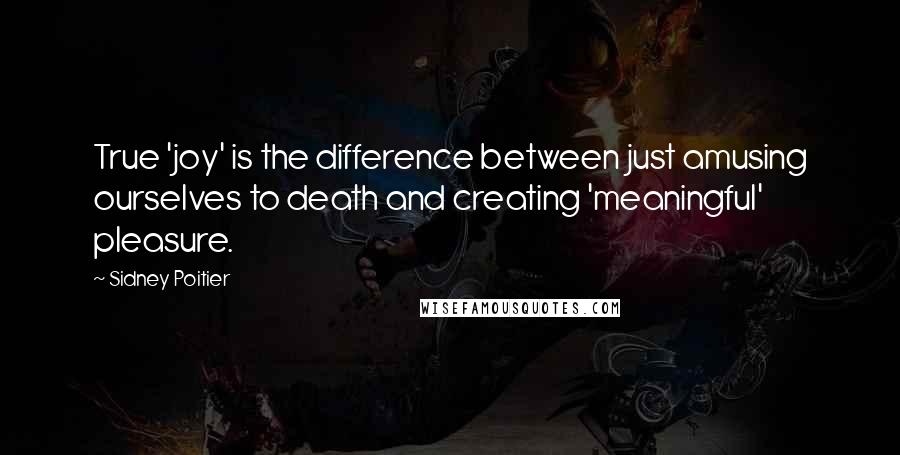 Sidney Poitier Quotes: True 'joy' is the difference between just amusing ourselves to death and creating 'meaningful' pleasure.