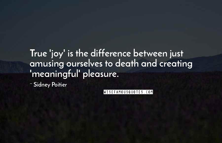 Sidney Poitier Quotes: True 'joy' is the difference between just amusing ourselves to death and creating 'meaningful' pleasure.