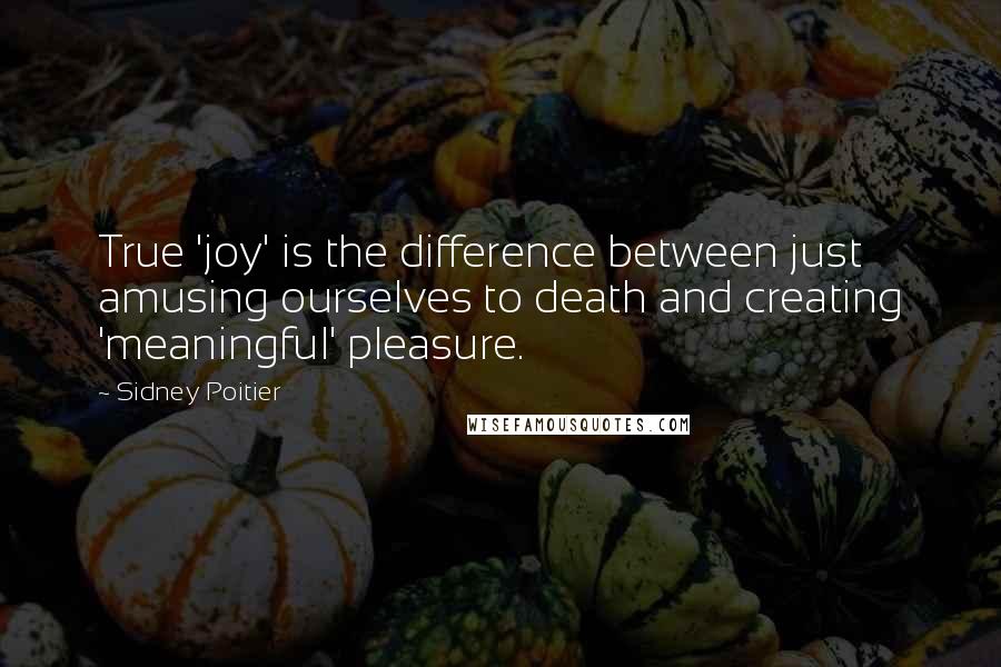 Sidney Poitier Quotes: True 'joy' is the difference between just amusing ourselves to death and creating 'meaningful' pleasure.