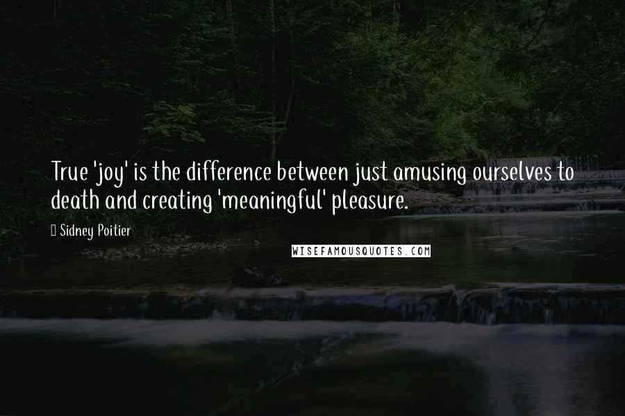 Sidney Poitier Quotes: True 'joy' is the difference between just amusing ourselves to death and creating 'meaningful' pleasure.