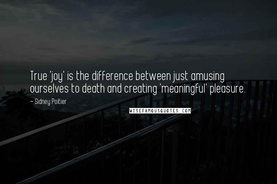 Sidney Poitier Quotes: True 'joy' is the difference between just amusing ourselves to death and creating 'meaningful' pleasure.