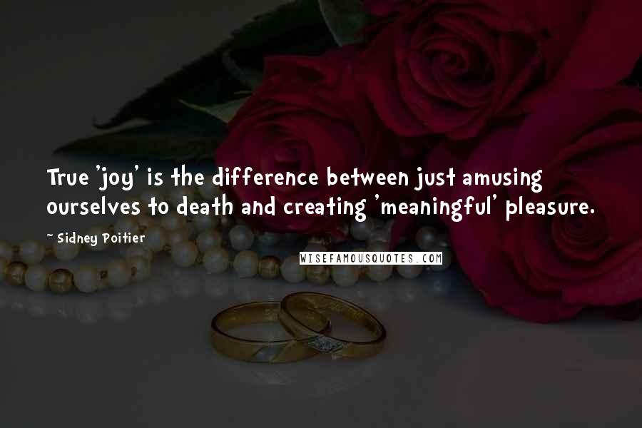 Sidney Poitier Quotes: True 'joy' is the difference between just amusing ourselves to death and creating 'meaningful' pleasure.