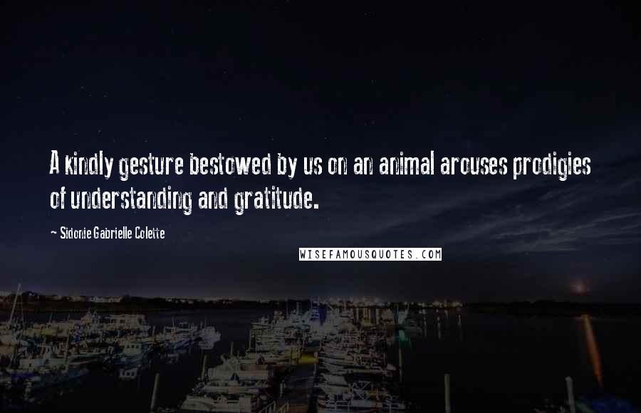 Sidonie Gabrielle Colette Quotes: A kindly gesture bestowed by us on an animal arouses prodigies of understanding and gratitude.