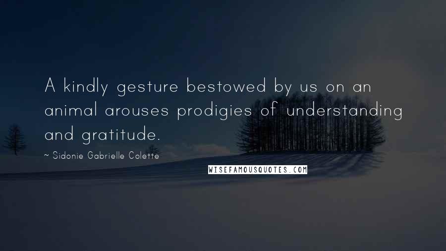 Sidonie Gabrielle Colette Quotes: A kindly gesture bestowed by us on an animal arouses prodigies of understanding and gratitude.