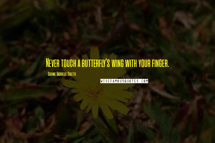 Sidonie Gabrielle Colette Quotes: Never touch a butterfly's wing with your finger.